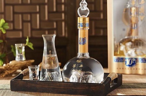 酒精飲料與酒駕 勾兌飲料算不算酒駕？